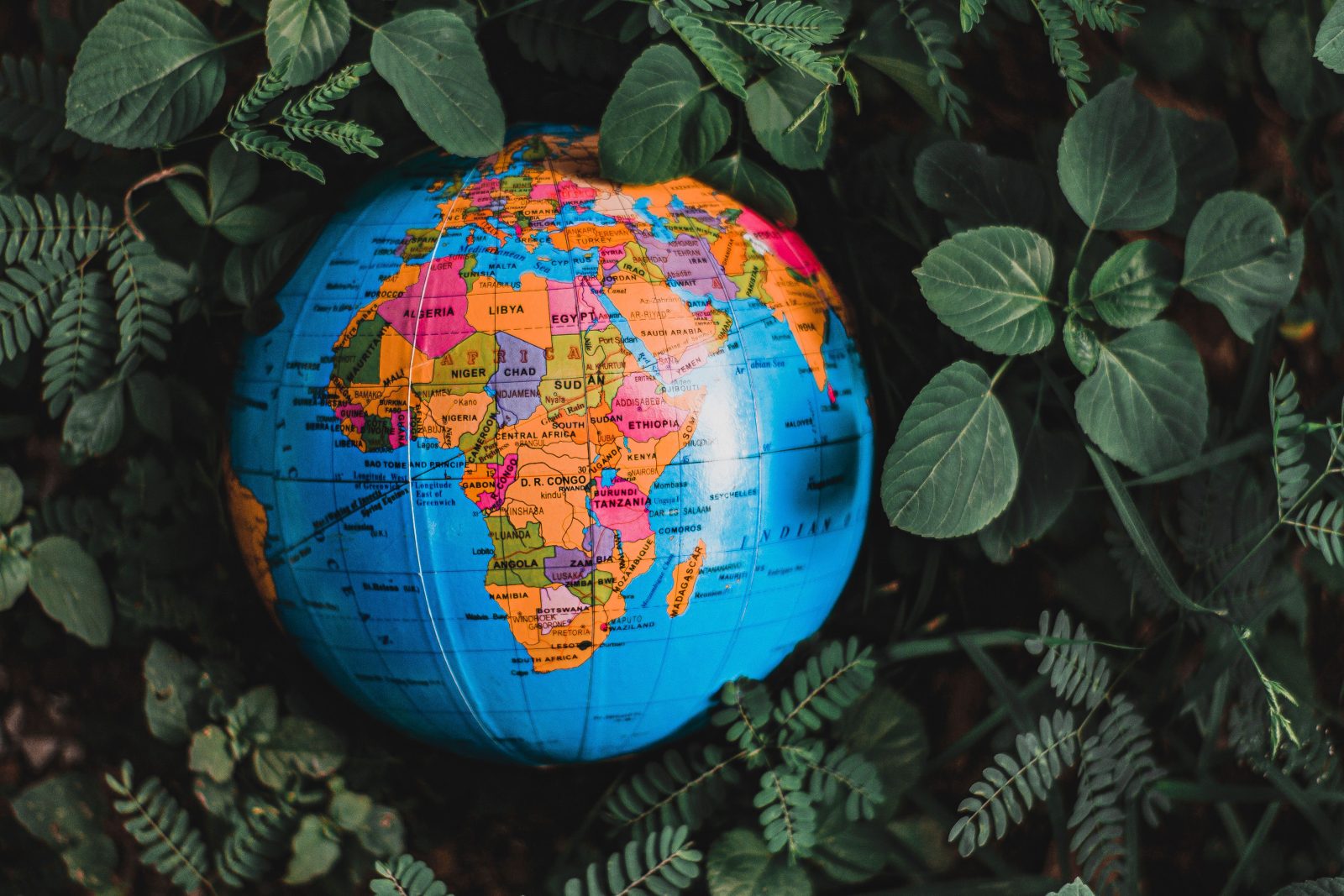 ETF MSCI World : que contient-il ?